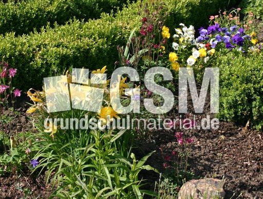 Gartenbeet-Sommer-1.jpg